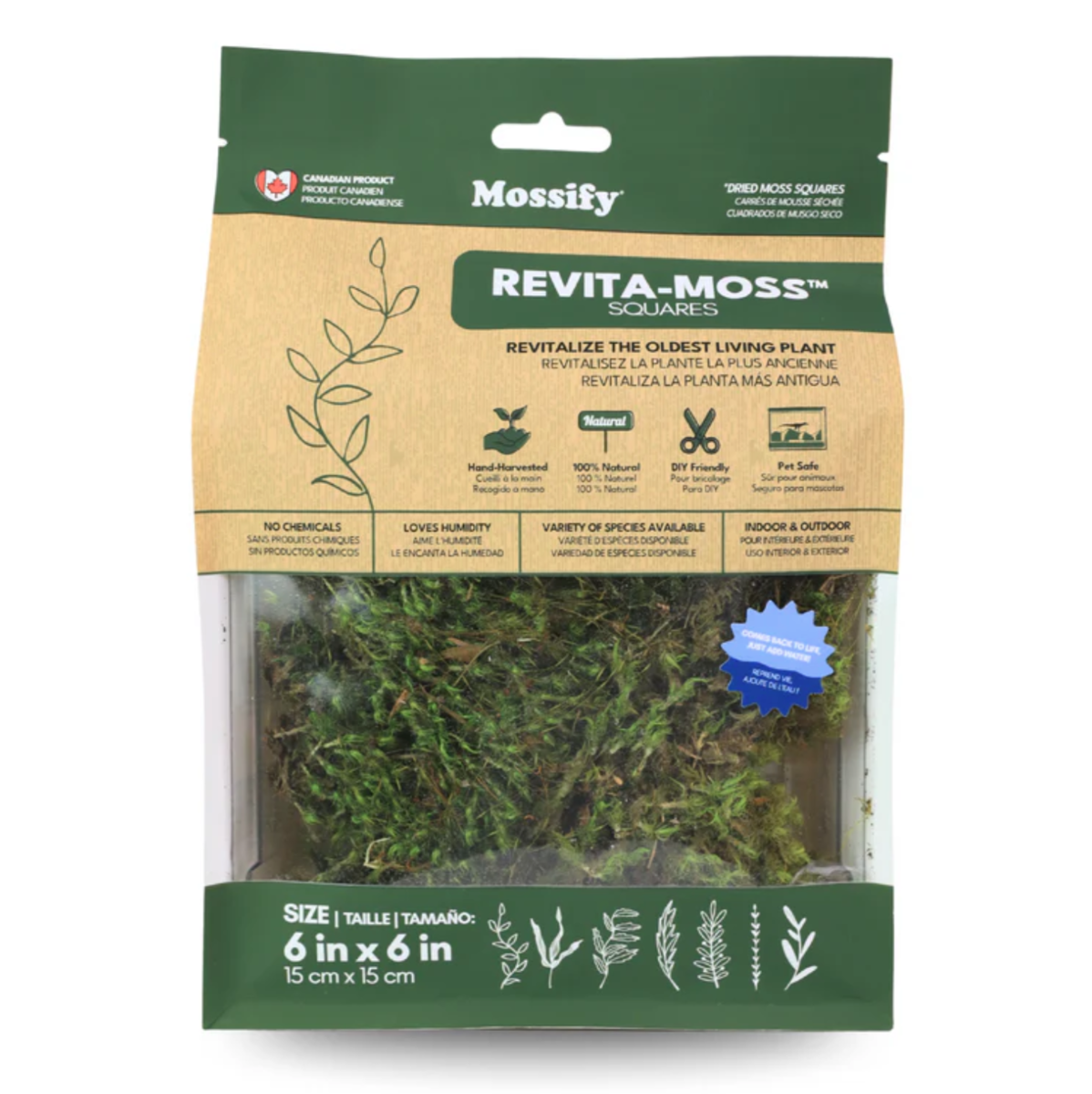 Mood Moss Packaging