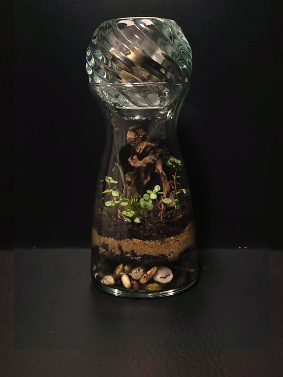 Handcrafted Terrarium 6